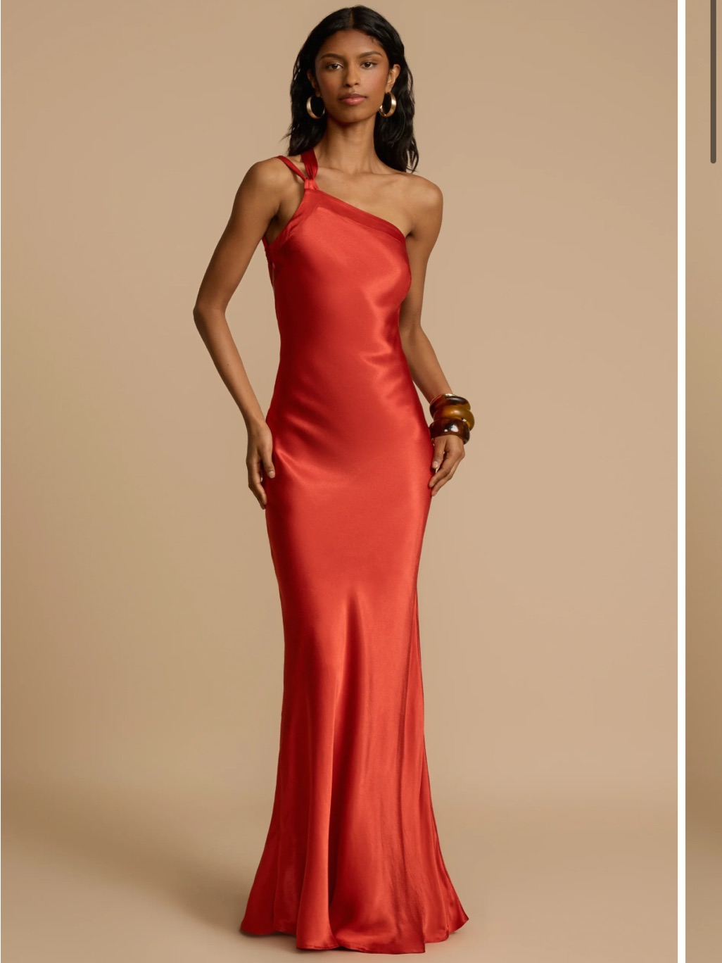 Monique Dress In Rust